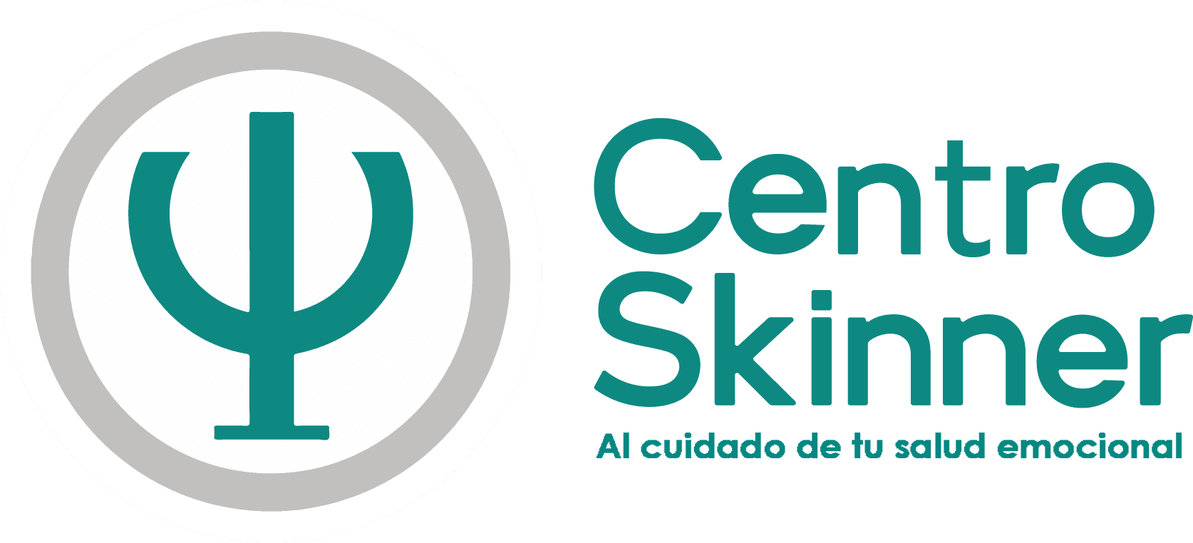 Centro Skinner